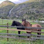 Photo taken by Anita H