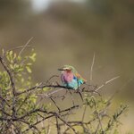 Photo taken by Joaquin M