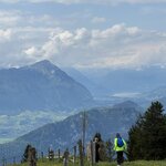 Photo taken by Laura H