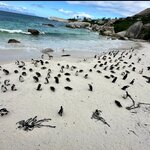 Photo taken by Kolla S