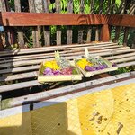 Photo taken by Amy M