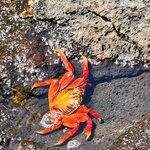 Photo taken by Debby D