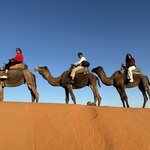 Photo taken by Ashok K