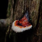 Photo taken by Caroline K