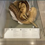 Photo taken by Erika N