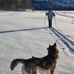 Photo taken by Andrew S