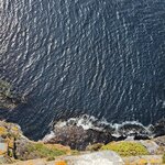 Photo taken by Douglas O