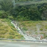 Photo taken by Iris W