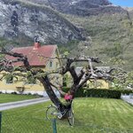 Photo taken by Owen B