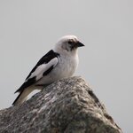 Photo taken by Amanda Z