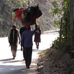 Photo taken by Susan H