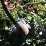 Photo taken by Pat K