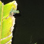 Photo taken by Esther B