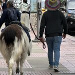 Photo taken by Sangeetha R