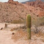 Photo taken by Jenny P