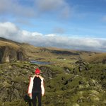 Wandering  | Photo taken by Marisa K