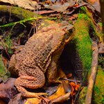 Photo taken by Dennis H