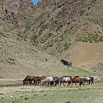 Photo taken by Kathleen L