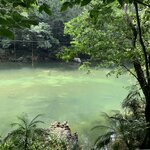 Photo taken by Nicole G