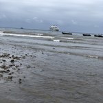 Photo taken by Sandra R