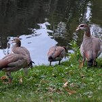 Photo taken by Mitzi F