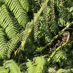 Photo taken by Nick M