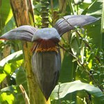 null | Photo taken by Wayne P