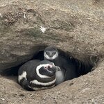 Photo taken by Pam F