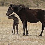 Photo taken by Marcia G