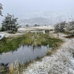 Photo taken by Terry M