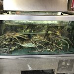 Photo taken by Prem P