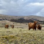 Photo taken by Marcy B