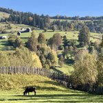 Photo taken by Bayard T