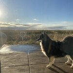 Photo taken by Marcos M