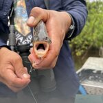 Photo taken by Deborah S