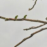 Photo taken by Brett F