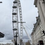 Photo taken by Tammy S