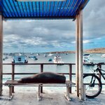 Photo taken by Katarzyna W