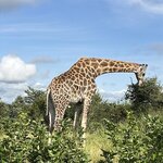 Photo taken by Crystall P