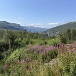 Photo taken by Cindi H