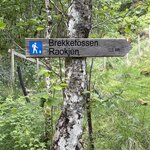 Photo taken by Rebecca C