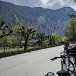 Photo taken by Laura H