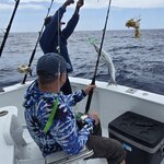 Photo taken by Alexandre M