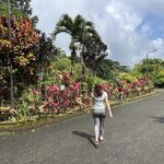 Photo taken by Peter B