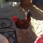 Photo taken by Hilda S