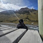 Photo taken by Stefani C