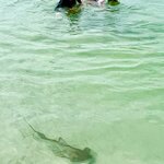 Photo taken by Katherine A