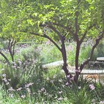 Photo taken by Patricia O