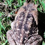 Photo taken by Mordechay T