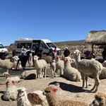 Photo taken by Alpa M